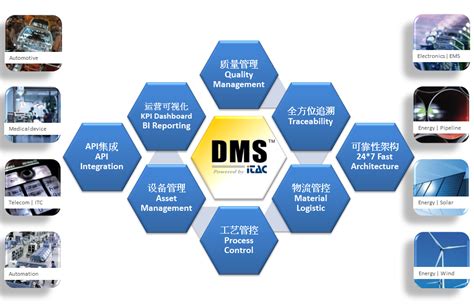 dms 系统服务