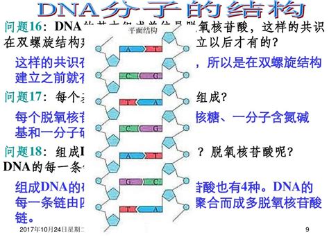 dna分子的结构教学反思