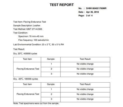 endurance test report