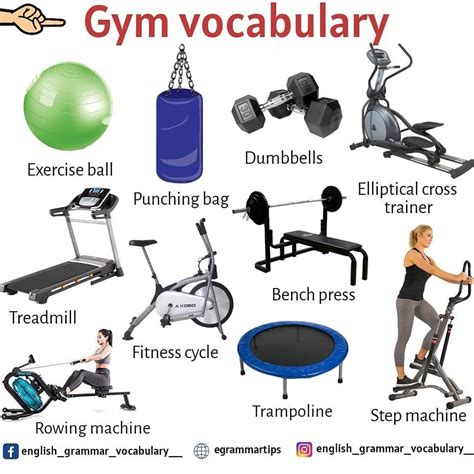 english about gym