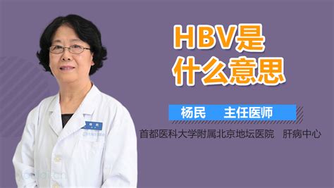 hbv医学上是什么意思