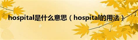 hospital是什么意思中文翻译
