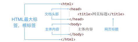 html基本结构