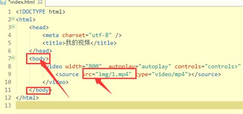 html怎么插入多个视频代码