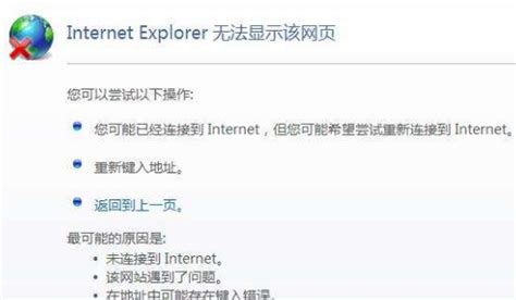 internetexplorer无法打开网址