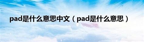 pad是什么意思中文翻译