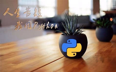 python制作web教程