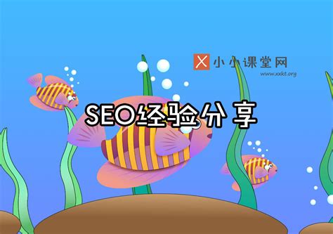 seo博客分享seo教程