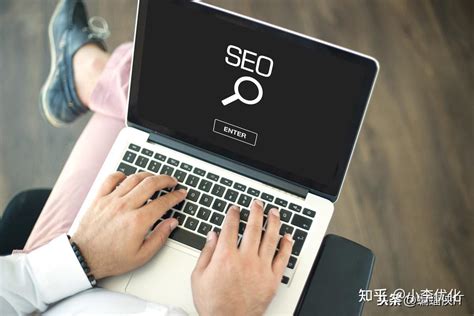 seo搜索优化软件推广