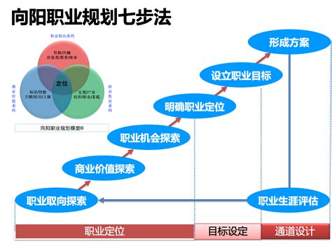 seo职业规划的路线分析