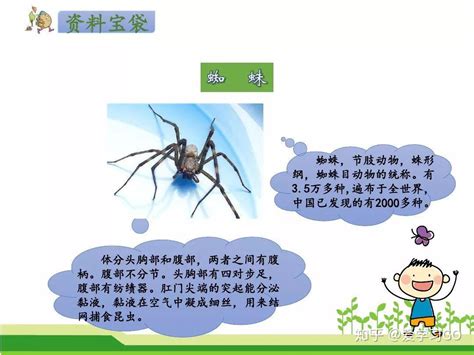 seo蜘蛛图讲解