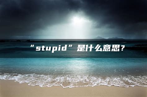 stupid是什么