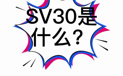 sv30是什么东西