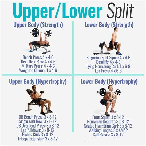 upper and lower body strength
