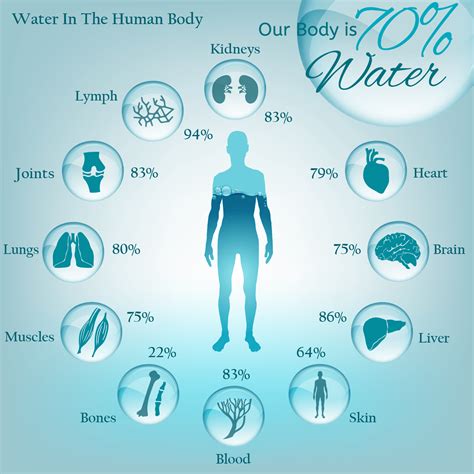 water content of human body