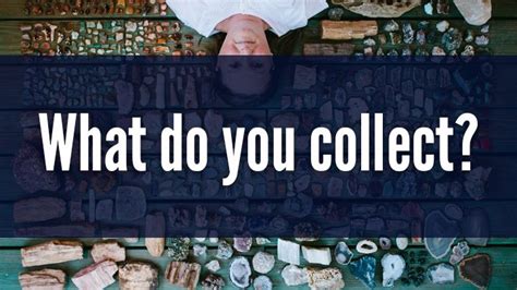 what do you collect作文